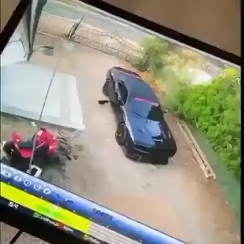 [약혐] 치킨 총살형.gif