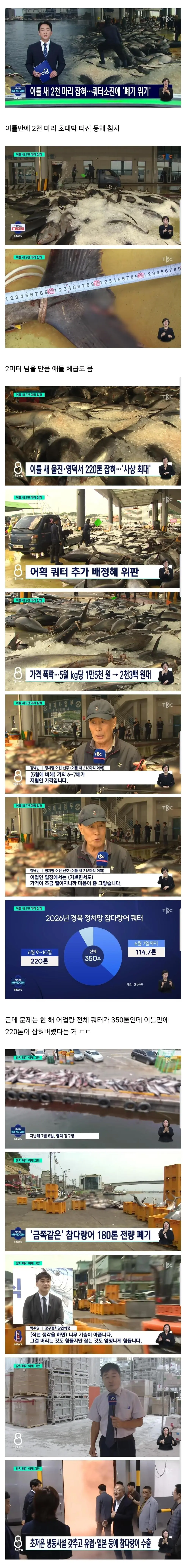 참치 때문에 난리났다는 동해 근황.news